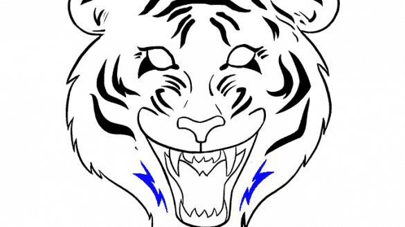 585x329 How To Draw A Tiger Easy Howstuffworks Sweet Sardinia How - Tiger Head Drawing Easy