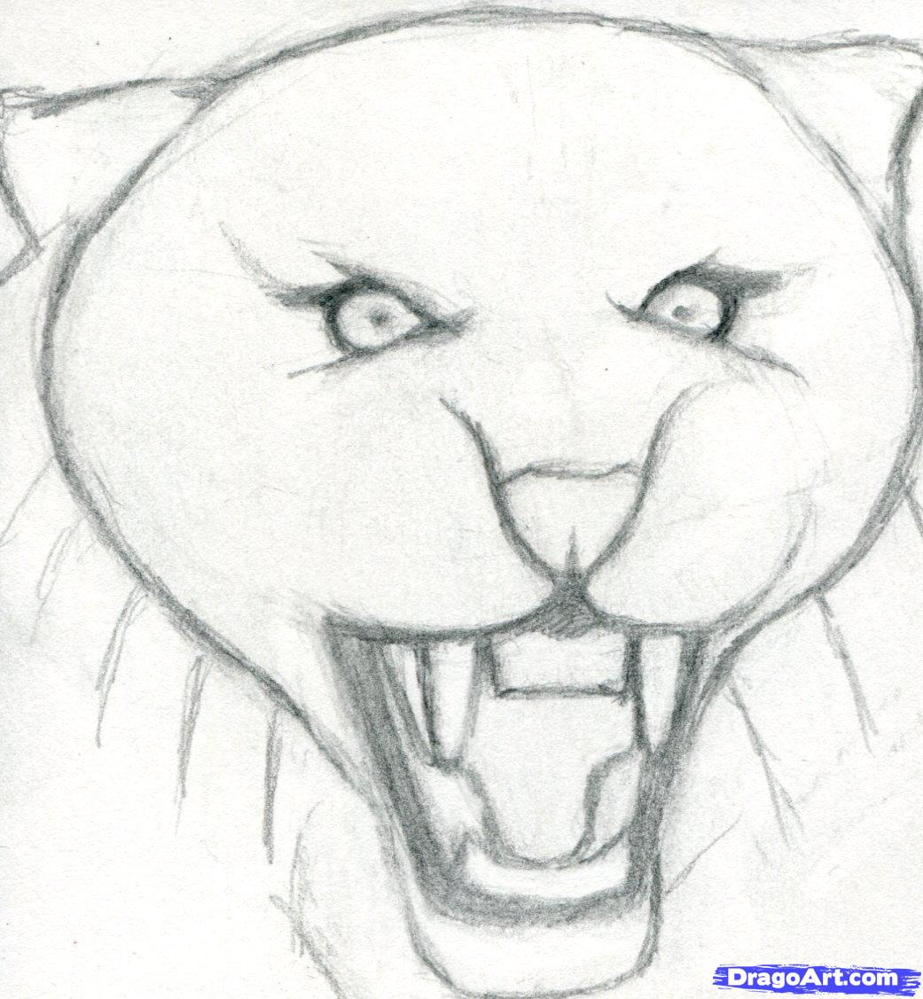 Картинка тигра для срисовки легкие лицо