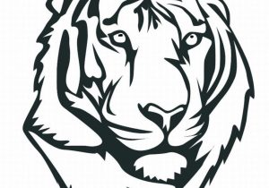 300x210 Malayan Tiger Head Easy To Sketch Simple Tiger Drawing - Tiger Head Drawing Easy