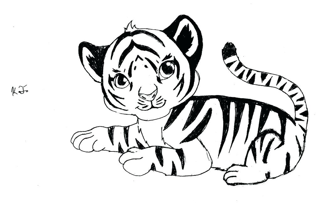 1024x652 Tiger Drawing Baby - Tiger Head Drawing Easy