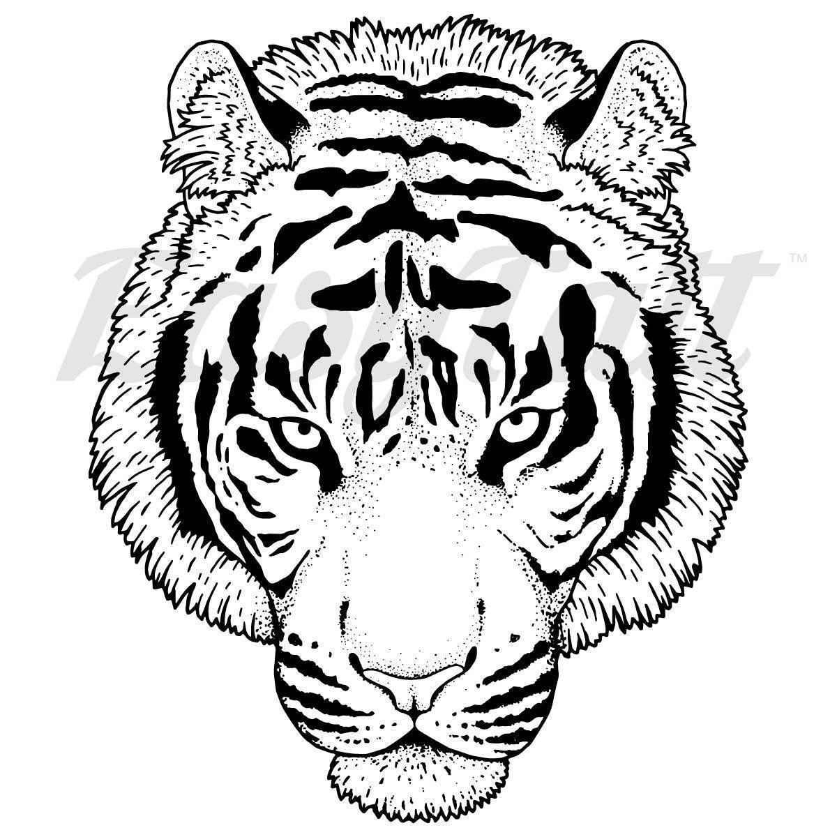 Tiger Head Drawing Easy at Explore collection of