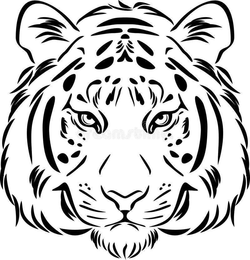 800x835 Outline Of A Tiger - Tiger Head Line Drawing
