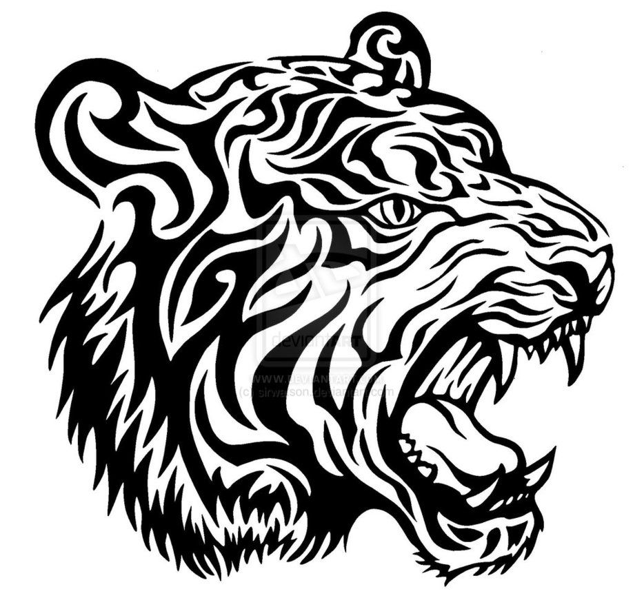 Tiger Line Drawing Images - Rizop