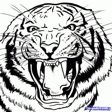 474x474 Tiger Head Line Drawing Gtgt - Tiger Head Line Drawing
