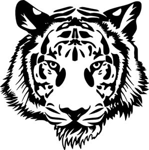 Tiger Head Line Drawing at PaintingValley.com | Explore collection of ...