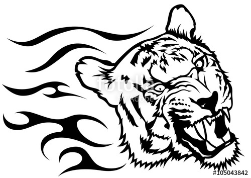 500x354 Tiger Head With Flames - Tiger Head Line Drawing