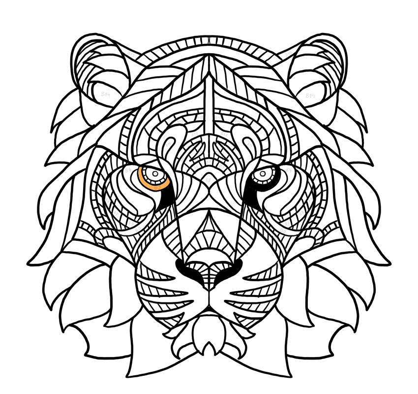 850x800 Art Therapy Draw - Tiger Head Line Drawing