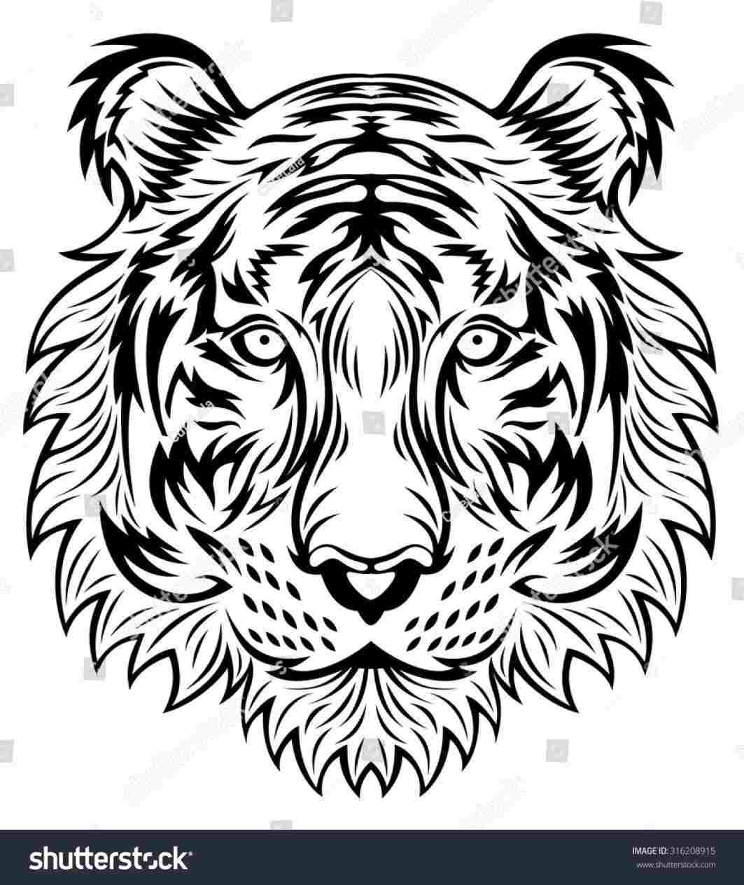 1063x1264 Rhcom Head Out Eyes - Tiger Head Line Drawing