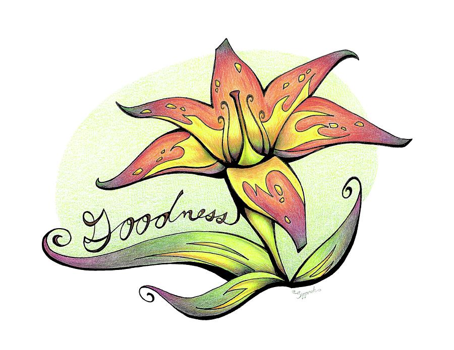 900x695 Inspirational Flower Tiger Lily Drawing - Tiger Lily Drawing