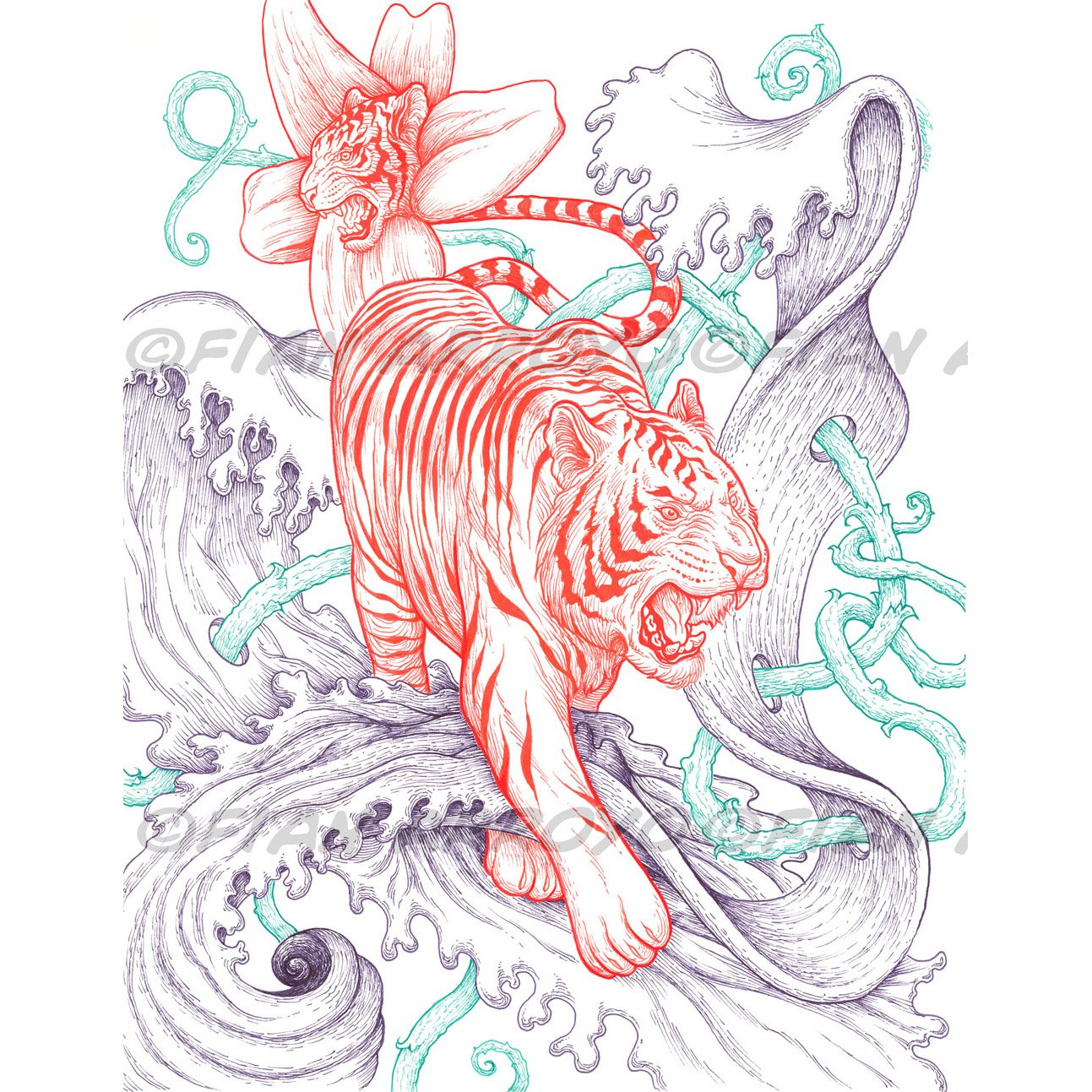 1293x1293 Tiger Lily - Tiger Lily Drawing