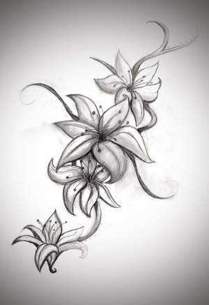 300x437 Cool Lily Flower Tattoo Drawing - Tiger Lily Drawing