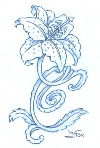 338x500 Tiger Lily Drawing Tiger Lily - Tiger Lily Drawing
