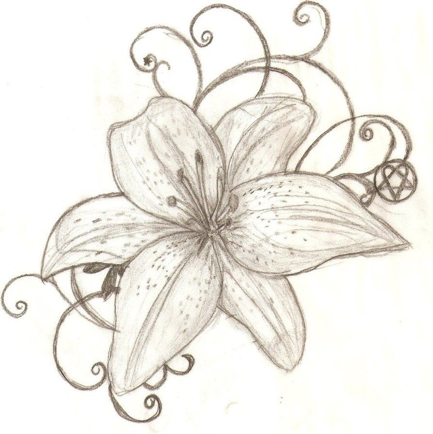 893x895 Free Tattoo Drawings - Tiger Lily Drawing