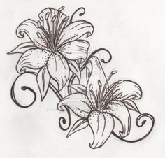 236x226 Huge Collection Of 'lily Flower Tattoo Drawing' Download More - Tiger Lily Flower Drawing