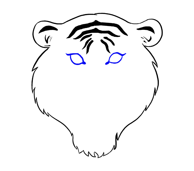 678x600 How To Draw A Tiger Face In A Few Easy Steps Easy Drawing Guides - Tiger Line Drawing
