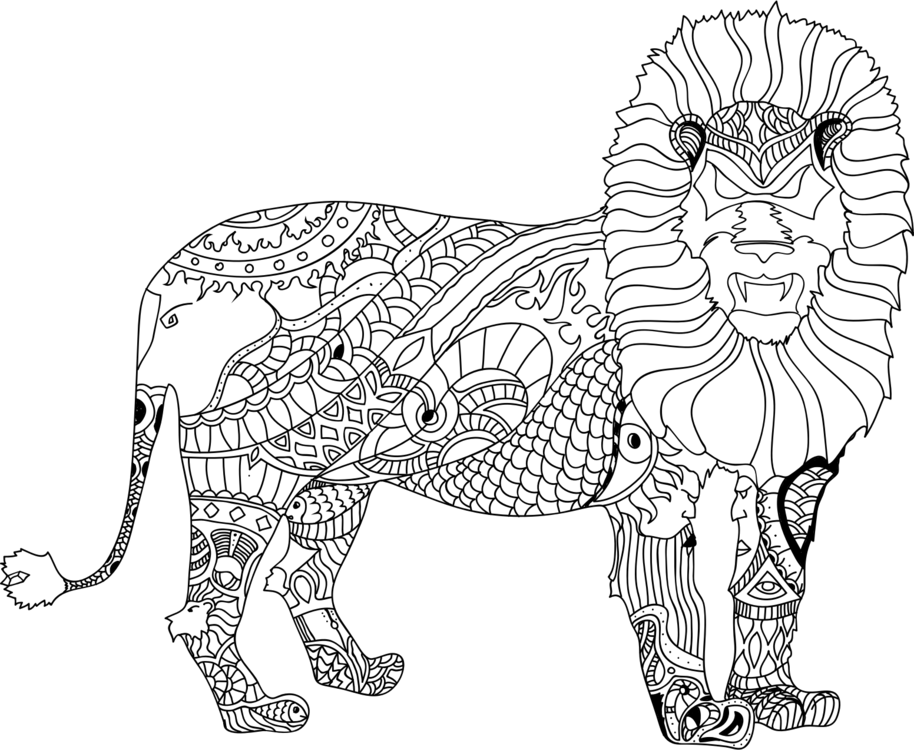 914x750 Lion Tiger Black And White Line Art Drawing Cc0 - Tiger Line Drawing