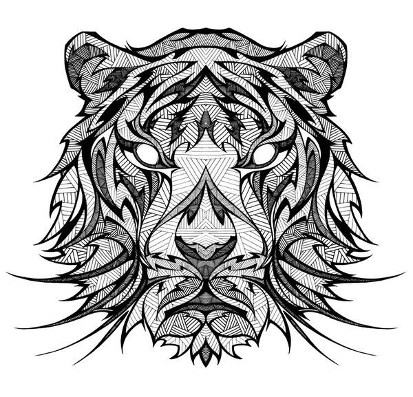 600x577 More Drawings - Tiger Line Drawing