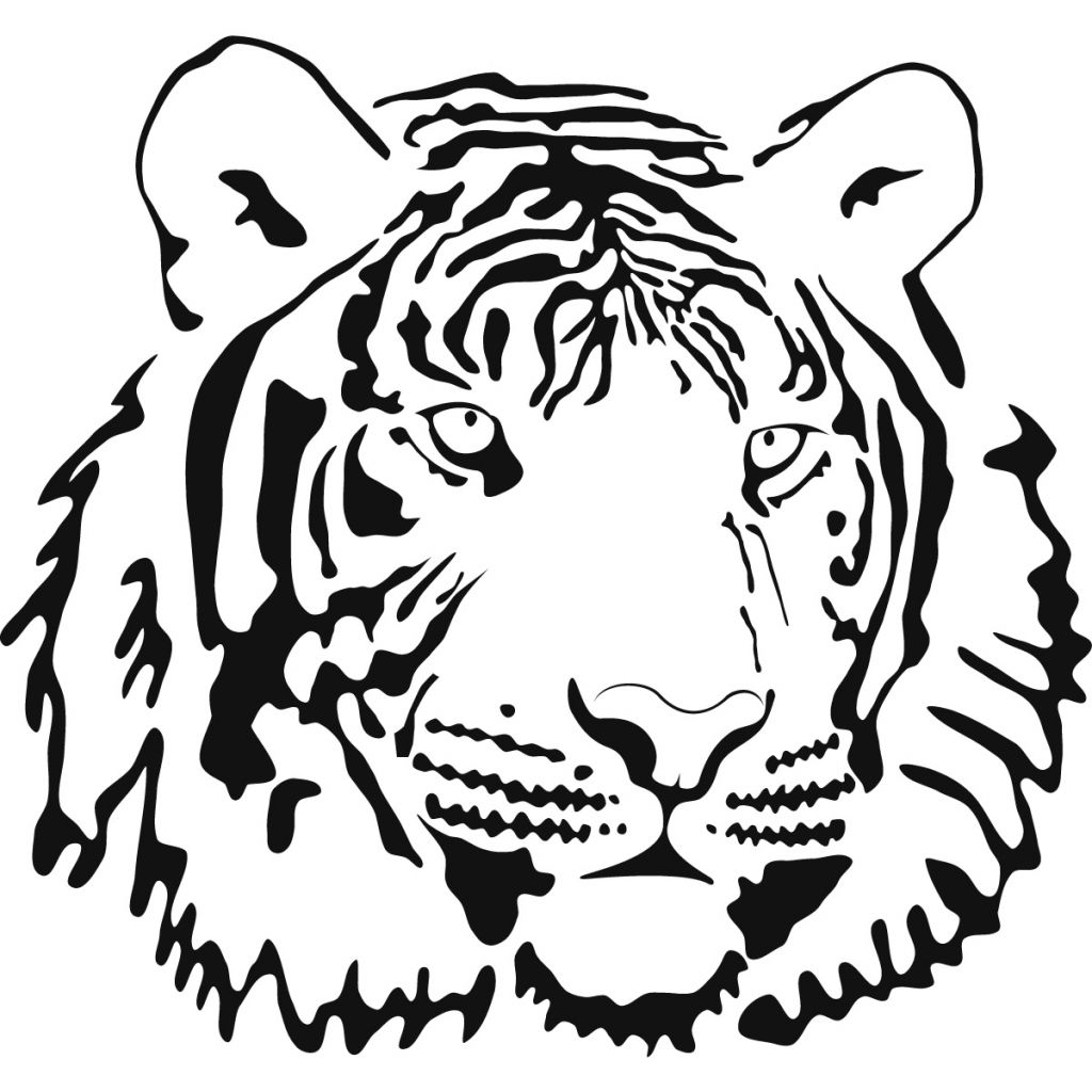 1024x1024 tiger face line drawing tiger face line drawing tiger face line - Tiger Line Drawing