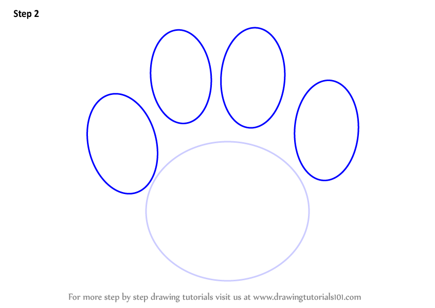 846x600 learn how to draw a tiger paw - Tiger Paw Drawing