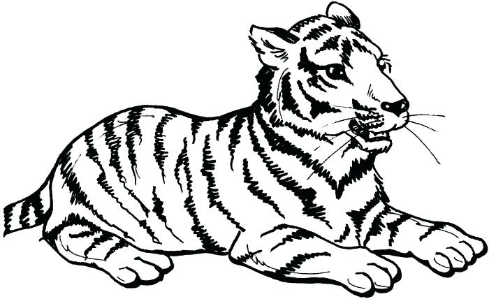 700x428 tiger paw print outline free download simple tiger outline tattoo - Tiger Paw Drawing