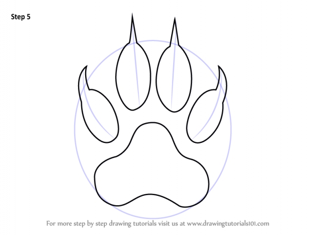 640x480 how to draw a tiger paw - Tiger Paw Drawing