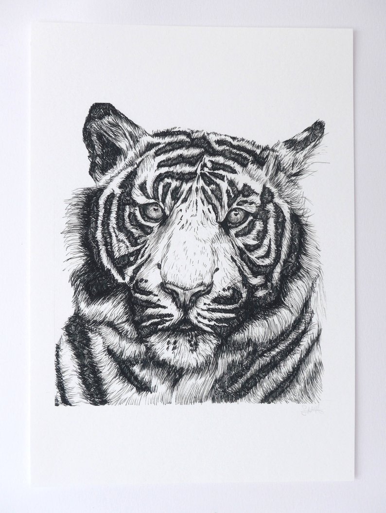 794x1054 Tiger Illustration Tiger Art Gift Original Artwork Pen Etsy - Tiger Pen Drawing