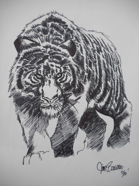 480x640 Tiger Pen And Ink Study Original Artwork - Tiger Pen Drawing