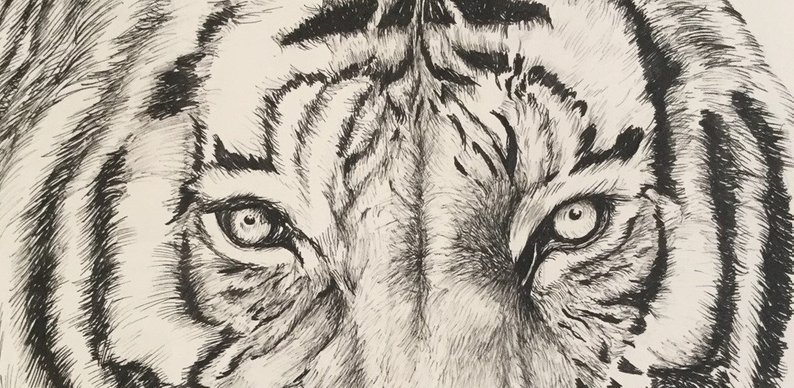 794x388 tiger wall art tiger poster pen drawing tiger illustration etsy - Tiger Pen Drawing