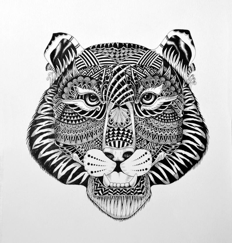 800x835 Tiger - Tiger Pen Drawing