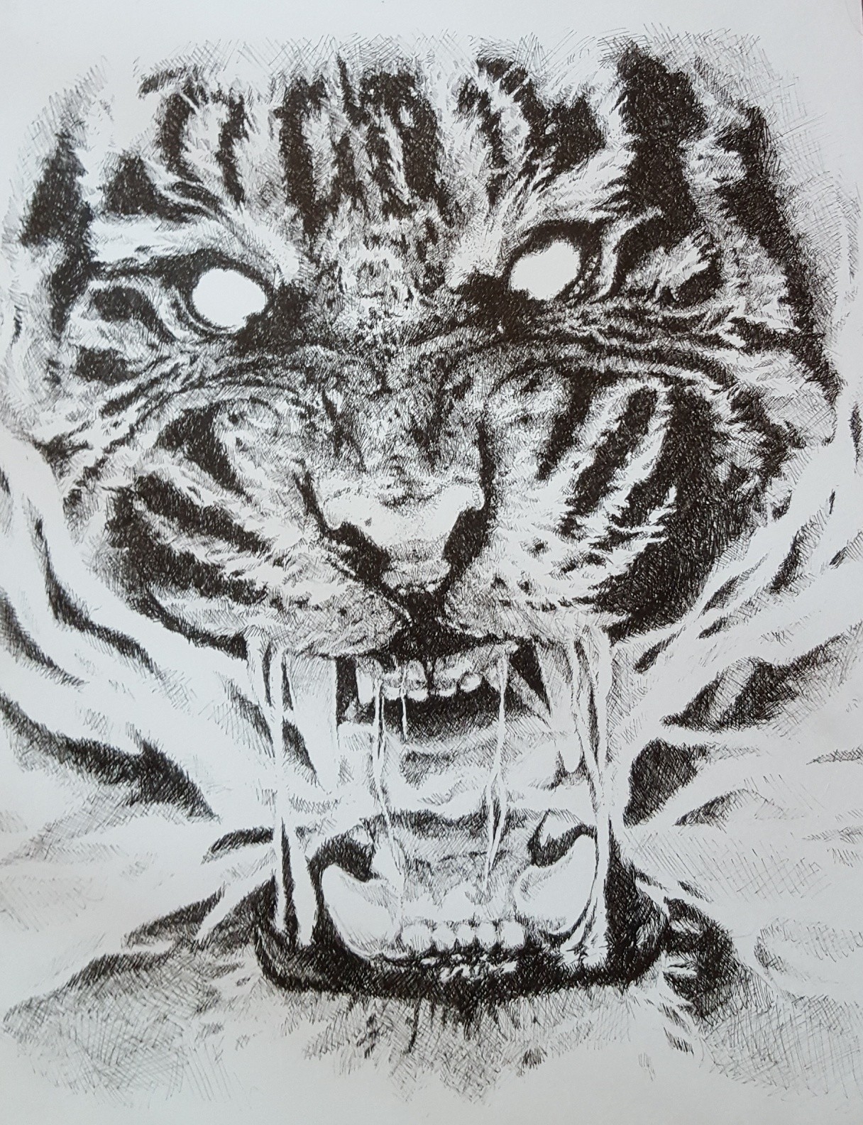 1216x1585 Artstation - Tiger Pen Drawing