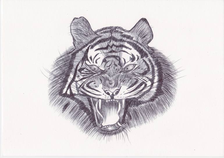 770x544 Ballpoint Pen Tiger Drawing - Tiger Pen Drawing