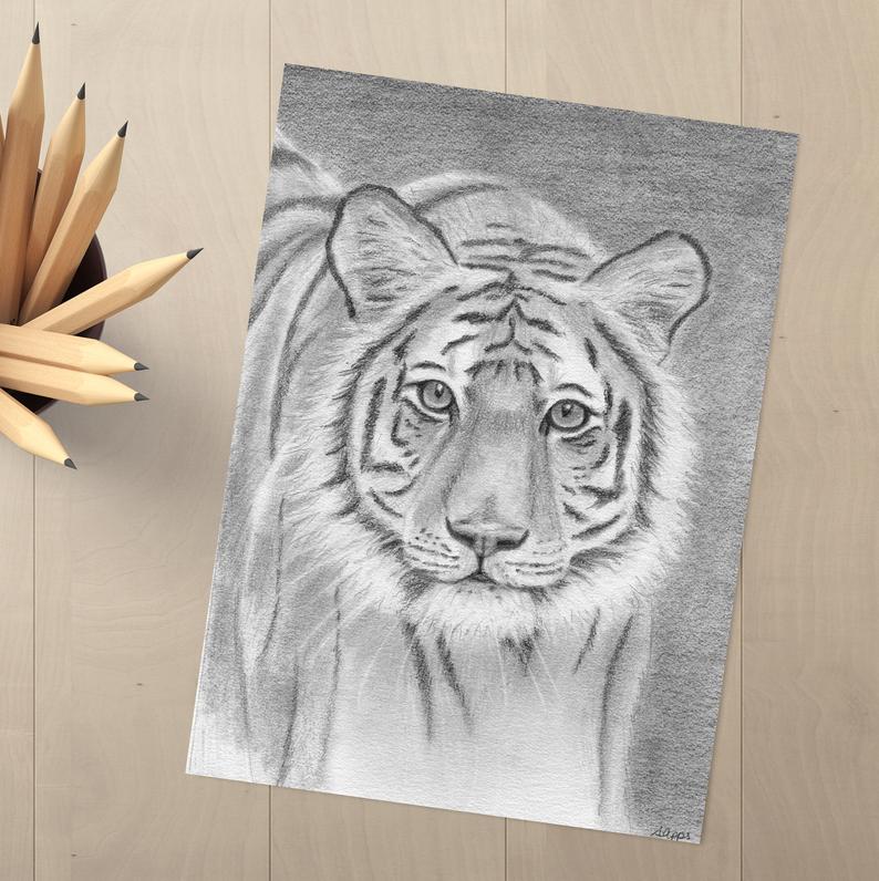 794x796 Tiger Pencil Drawing Tiger Art Original Drawing Jungle Etsy - Tiger Pencil Drawing Images