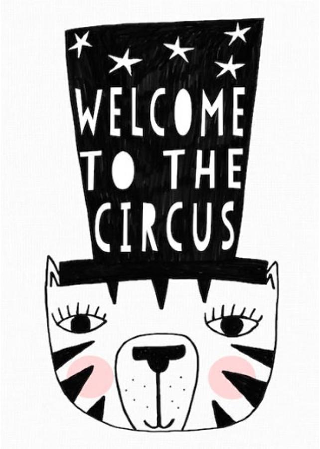 642x900 Circus Tiger Print - Tiger Print Drawing