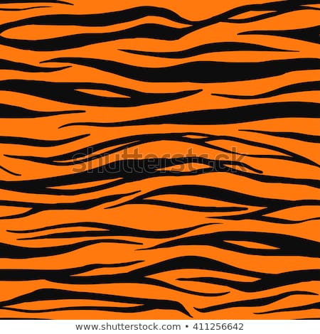Tiger Print Drawing at PaintingValley.com | Explore collection of Tiger ...