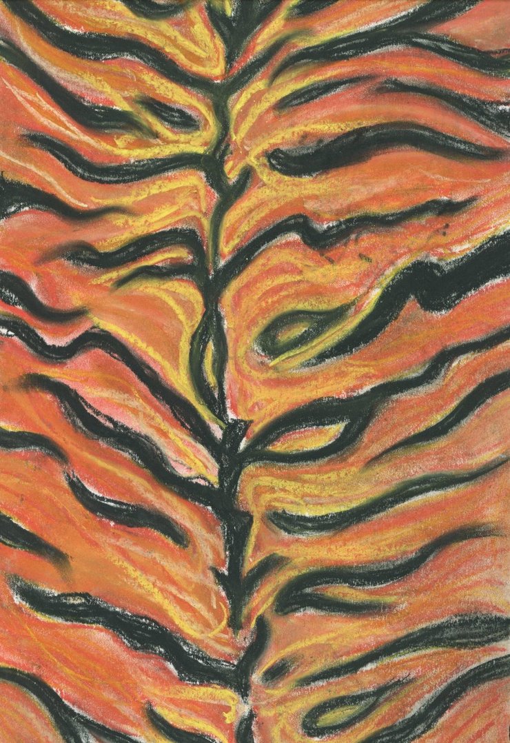 740x1078 Tiger Print Drawing - Tiger Print Drawing