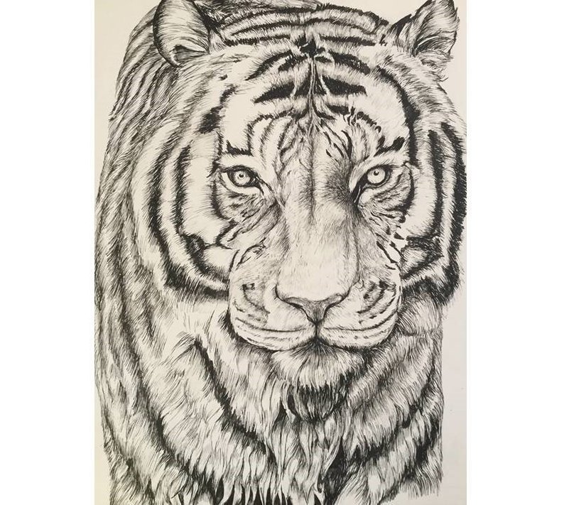 794x711 tiger wall art tiger poster pen drawing tiger illustration etsy - Tiger Print Drawing