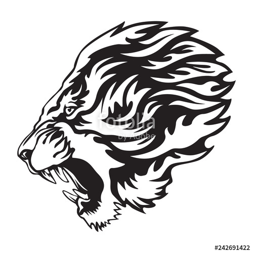 500x500 Tiger Angry Face Tattoo Vector Illustration Of Big Cat Head - Tiger Print Drawing