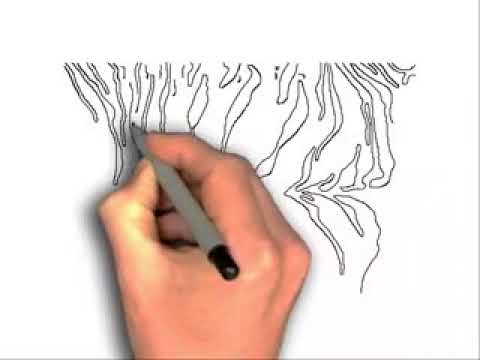 480x360 How To Draw Tiger Print - Tiger Print Drawing