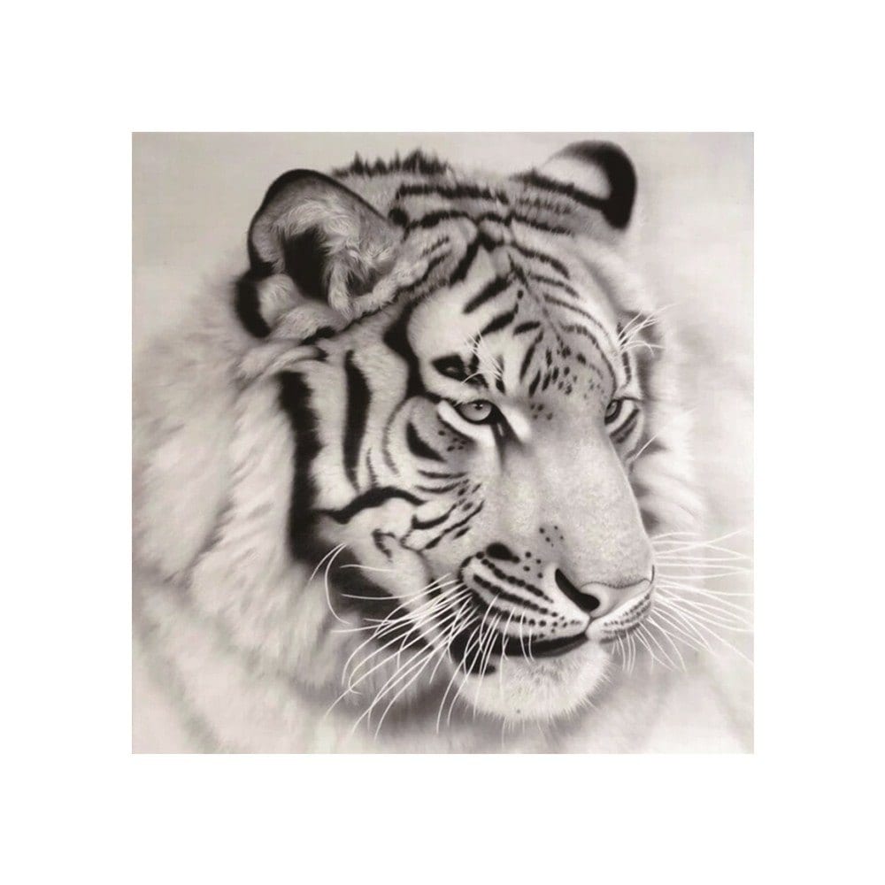 1000x1000 Tiger Print Draw Diamond Drawing - Tiger Print Drawing