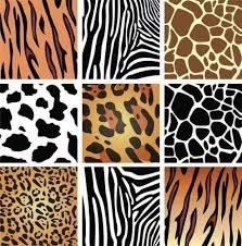 223x226 Best Animal Prints Images Animal Patterns, Backgrounds, Patterns - Tiger Print Drawing