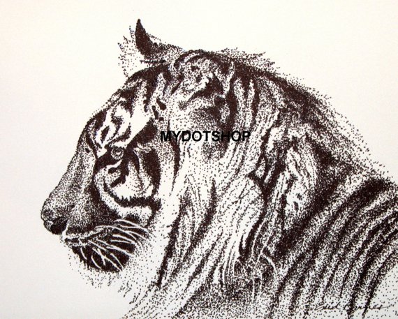 570x457 Instant Download Of Pen And Ink Drawing Of Tiger In Profile Etsy - Tiger Profile Drawing