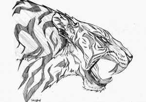 300x210 Of Tiger Side Profile Drawing High Quality Free Rhclipartxtrascom - Tiger Profile Drawing