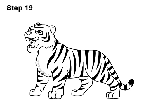 500x386 How To Draw A Tiger Roaring - Tiger Roaring Drawing