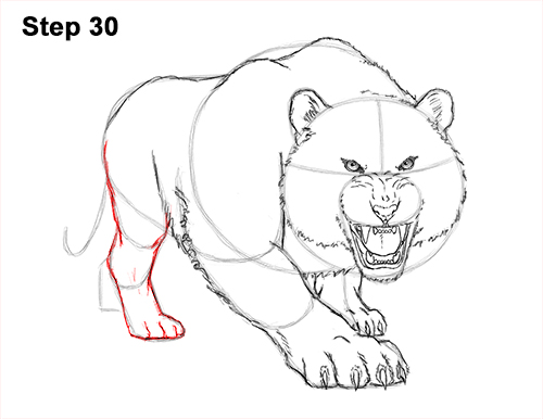 500x386 How To Draw A Tiger Roaring - Tiger Roaring Drawing
