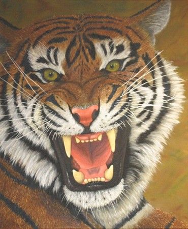 370x450 Pumpkin Ideas Tiger Art, Tiger Artwork - Tiger Roaring Drawing