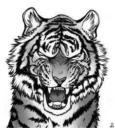 236x261 Best Roaring Tiger Head Tattoo Drawing Images Tiger Head - Tiger Roaring Drawing