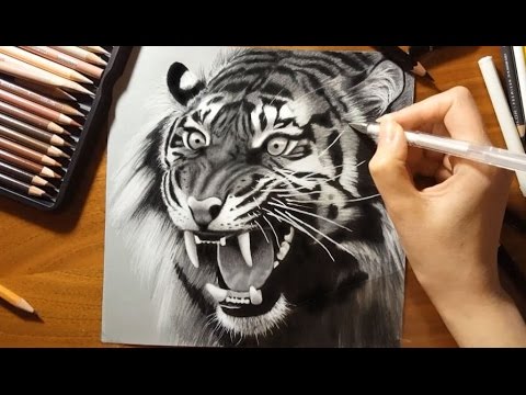 480x360 speed drawing a roaring tiger jasmina susak - Tiger Roaring Drawing