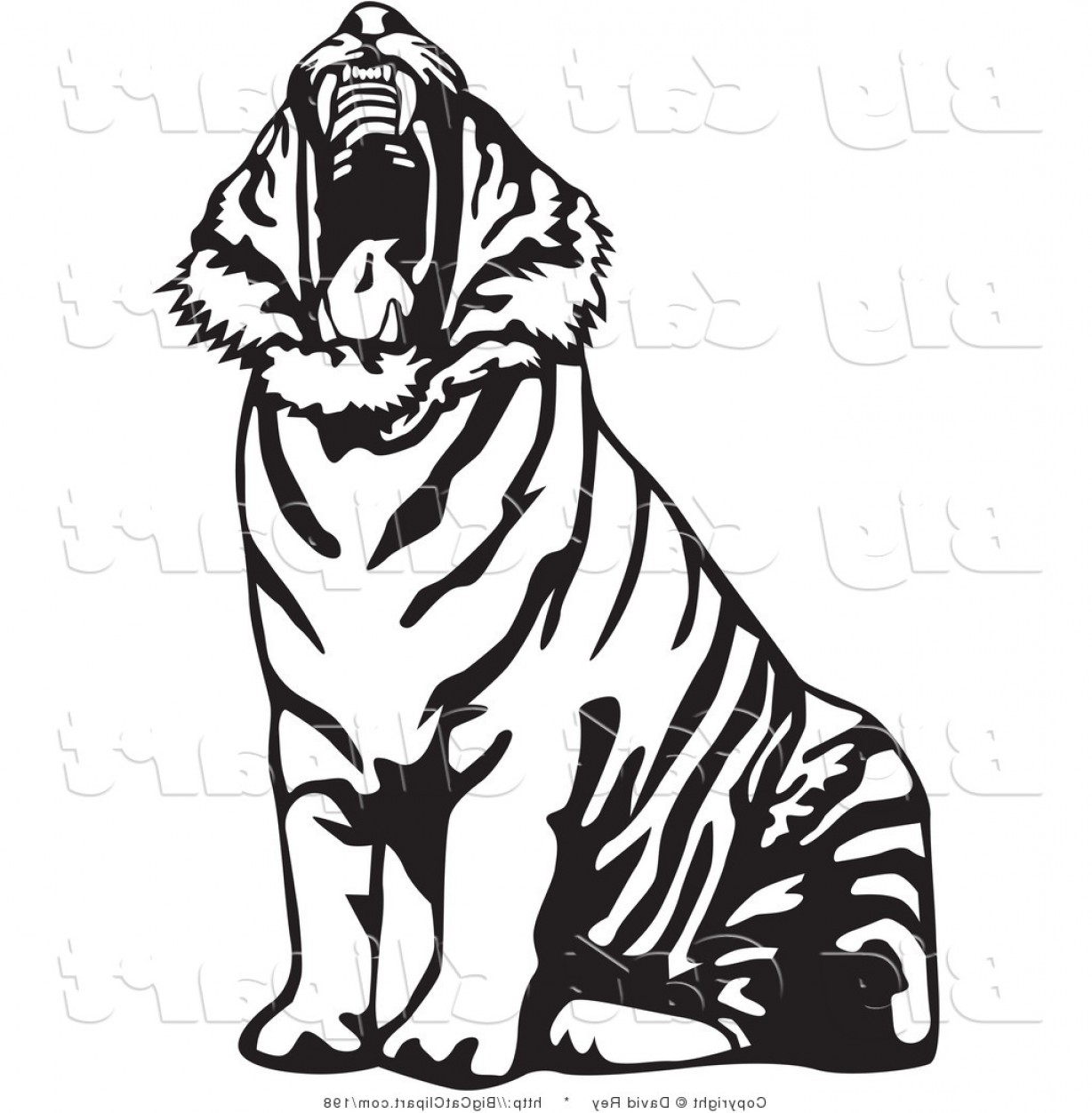 1228x1252 Big Cat Vector Clipart Of A Yawning Black And White Tiger Roaring - Tiger Roaring Drawing