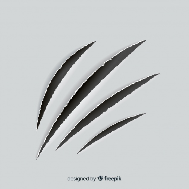 626x626 Claw Vectors, Photos And Free Download - Tiger Scratch Drawing