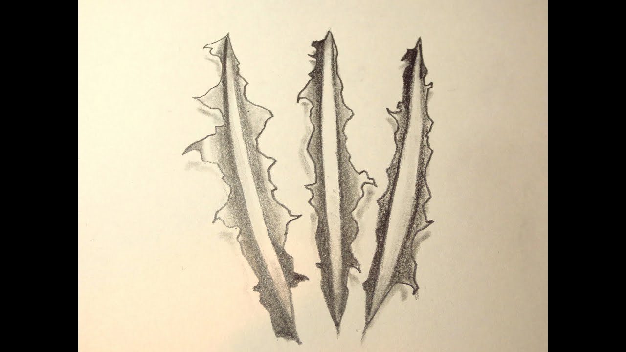 1280x720 How To Draw Wolverine Clawmarks - Tiger Scratch Drawing